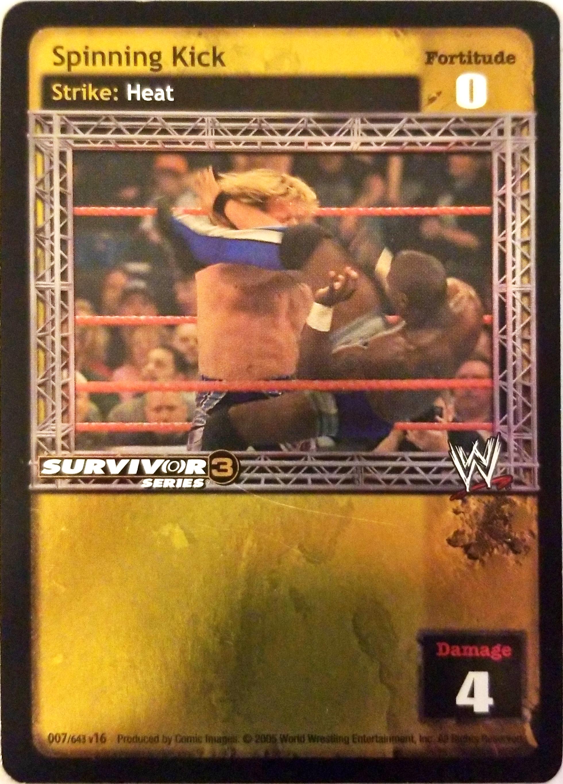 Spinning Kick